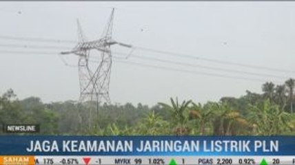 PLN Tebang Pohon di Jalur Bebas SUTET