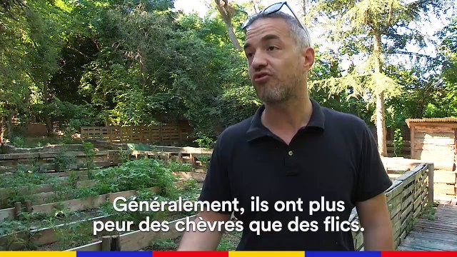 Bienvenue à la ferme de la Butte Pinson