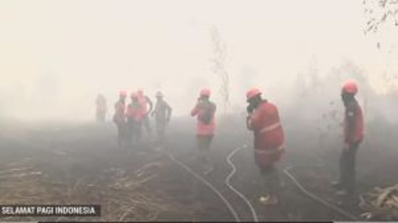Perjuangan Manggala Agni Padamkan Karhutla