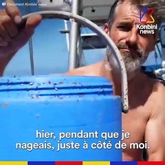 Benoît Lecomte traverse l'océan Pacifique... À LA NAGE