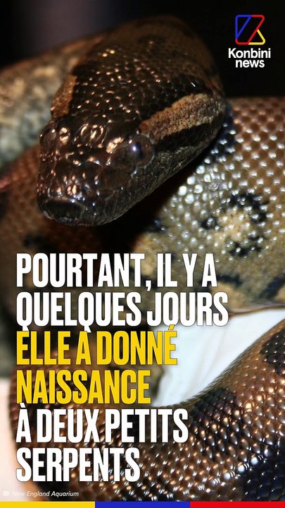 Concevoir sans mâles : c'est possible !