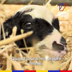 Être berger et DJ, c’est possible