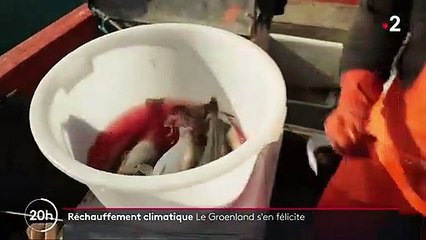 Groenland : pêcheurs et agriculteurs se félicitent du réchauffement climatique