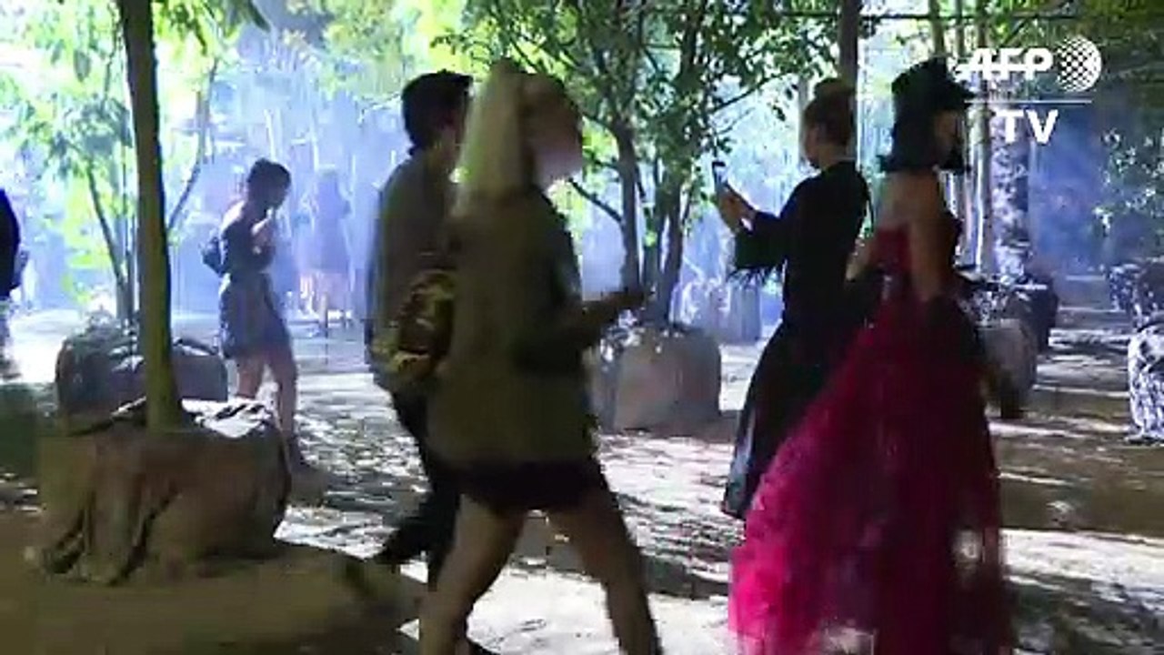 Árboles y naturaleza en desfile de Dior en Semana de la Moda de París