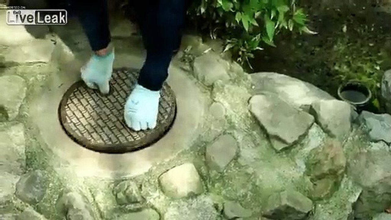 Ce raton laveur rentre dans une bouche d'égouts.. et referme la plaque derrière lui