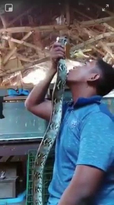 Il s'amuse avec son gros serpent serpent mais va vite le regretter