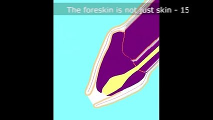 “Not just skin” – old version.