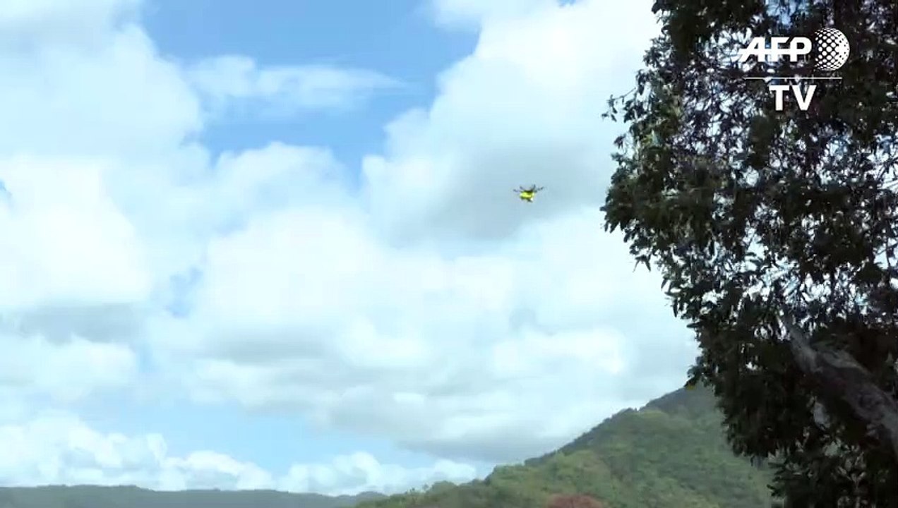 Drohne spürt in Australien Krokodile auf