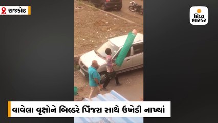 સ્થાનિકોએ સવારે વૃક્ષો વાવ્યા અને બપોરે બિલ્ડરે પીંજરા સાથે ઉખેડી નાંખ્યા, લોકોમાં રોષ