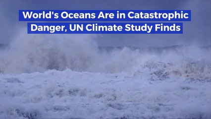 The United Nations Is Worried About Our Oceans