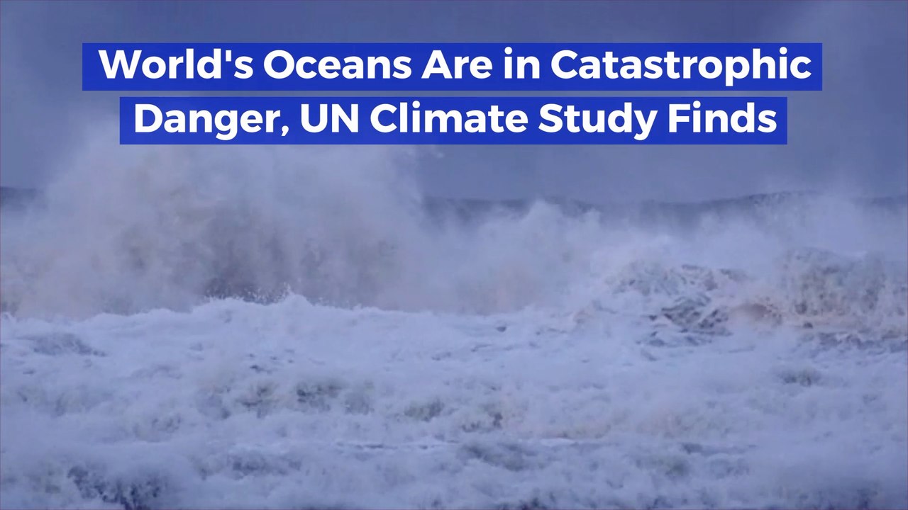 The United Nations Is Worried About Our Oceans