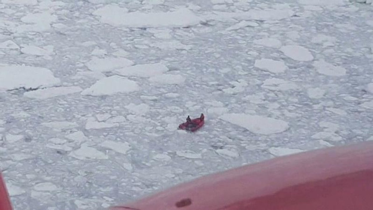 Polnische Wissenschaftler in der Antarktis gerettet