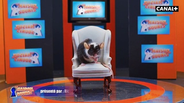 La maison des souris - dès le 21 octobre seulement avec CANAL+