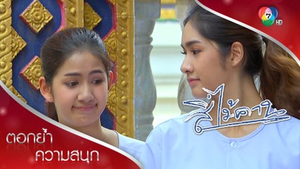 หลาน ๆ เฟล ลุ้นรักตายายไม่ขึ้น! | ตอกย้ำความสนุก สี่ไม้คาน EP.15 | Ch7HD