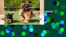 Full version  Notebook: German Shepherd Dog Dogs Puppy Puppies 8.5