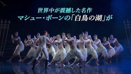 映画『マシュー・ボーン IN CINEMA／白鳥の湖』