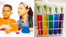 12 Crazy Cool DIY Science Experiments! - Easy and Fun Activities by Life For Tips