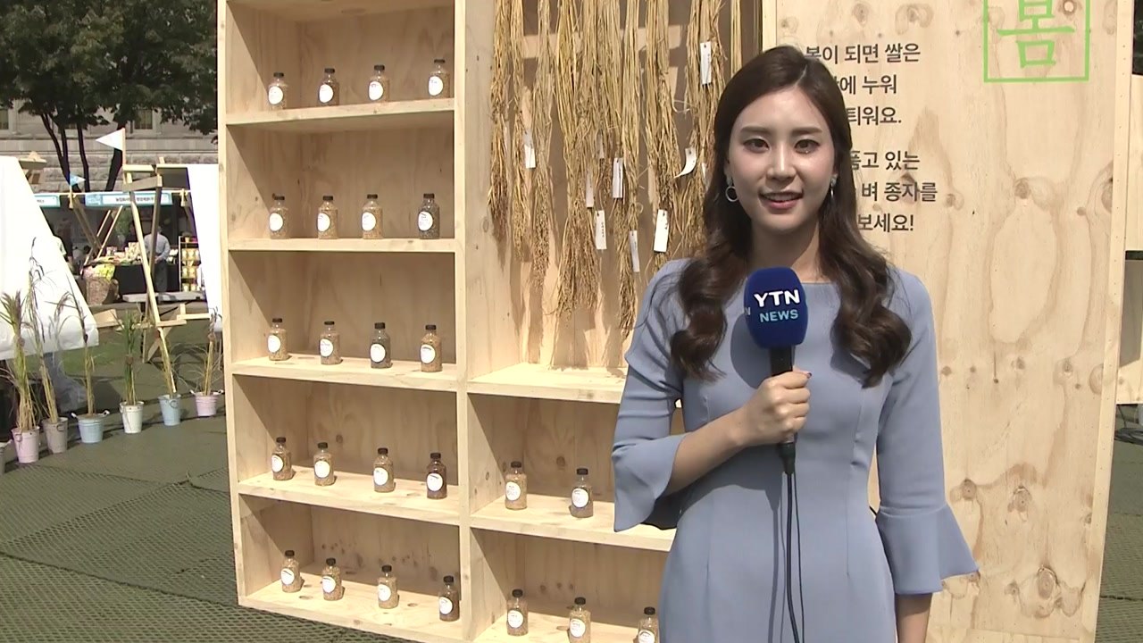 [날씨] 완연한 가을 날씨...'우리 쌀' 축제 즐겨요 / YTN