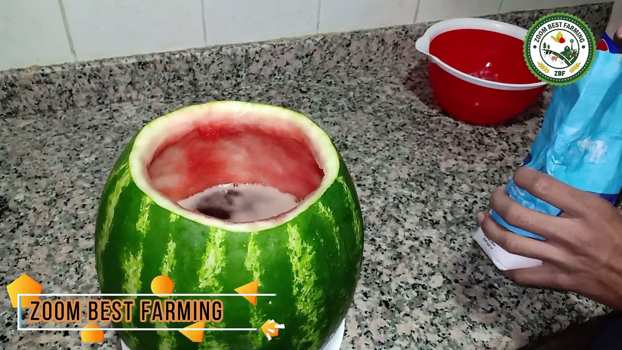Watermelon Pepsi Experiment