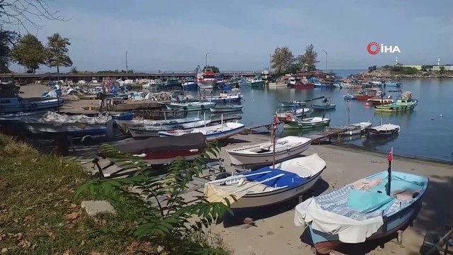 Karadenizli balıkçılar palamut beklerken sezonu hamsiyle açtı