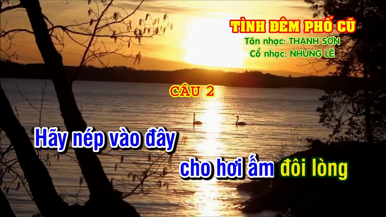 TÌNH ĐÊM PHỐ CŨ Tân Cổ Dây kép - Nhạc- Thanh Sơn - Vọng cổ- Nhung Lê