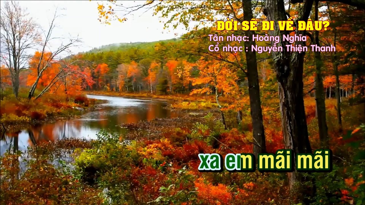ĐỜI SẼ ĐI VỀ ĐÂU -Tân Cổ - Nhạc Hoàng Nghĩa - Cổ- Nguyễn Thiện Thanh