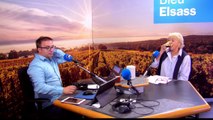 Suivez les émissions de France Bleu Elsass en direct (587)