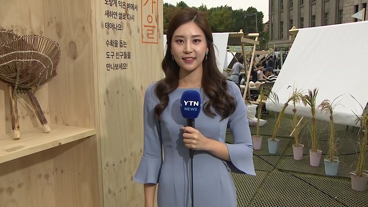 [날씨] 완연한 가을 날씨...내일 제주도엔 비 / YTN