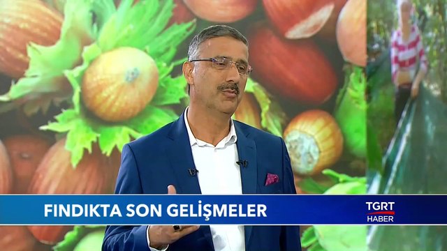 Fındıkta Son Gelişmeler - Ekonominin Dili 25 Eylül 2019