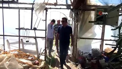 Aydın heyeti Muğla'da ejder meyvesini inceledi