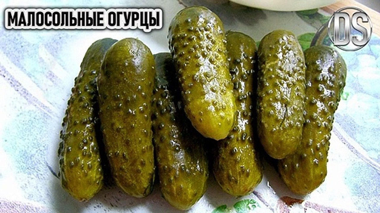 Малосольные огурцы за 24 часа - рецепт быстрого приготовления