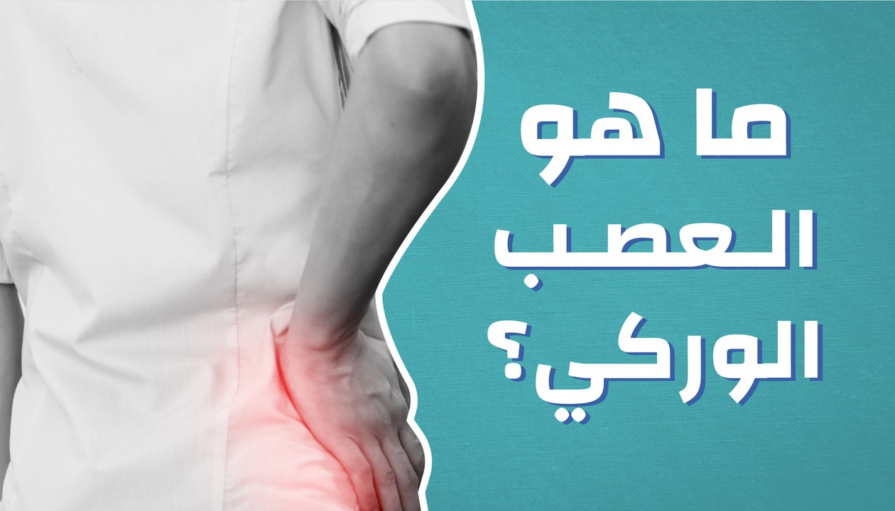 ما هو العصب الوركي؟
