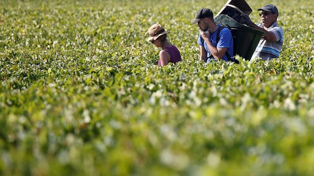 Trafic d'êtres humains : le Beaujolais secoué par une vaste enquête