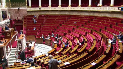 rappel au Règlement Ruffin