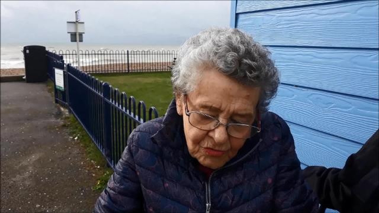 Felpham fences