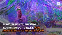 Reguetoneros molestos por las nominaciones a los Grammy Latinos: Maluma, J Balvin y Daddy Yankee