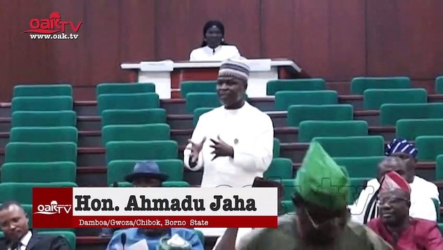 Rep Jaha claims, list parts of Borno under Boko Haram siege