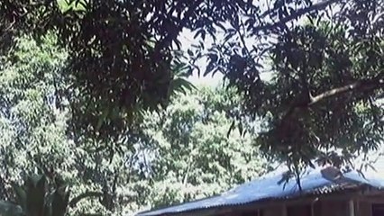 Michelle Vito bilang batang Eunice at Febie sa MMK