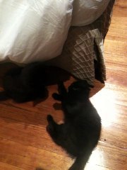 vlc-record-2019-09-25-22h41m01s-IMG_0177.MOV-