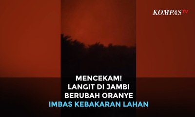 Mencekam! Langit di Jambi Berubah Oranye Imbas Kebakaran Lahan