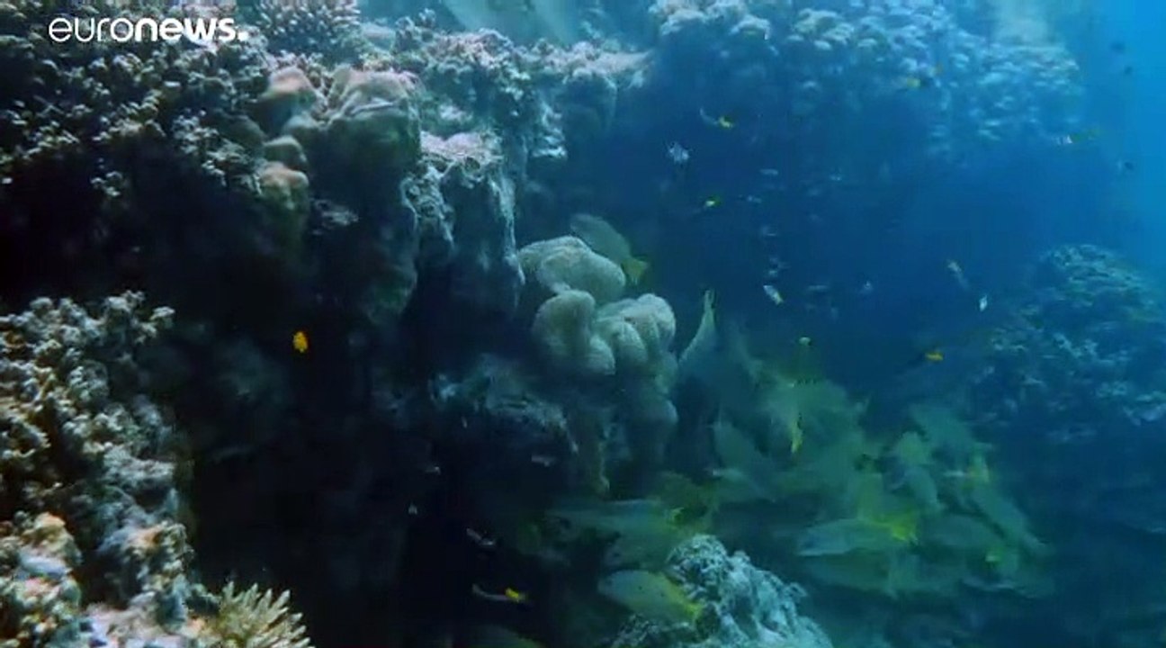 Bericht des Weltklimarats zeichnet düstere Zukunft und fordert rasches Handeln