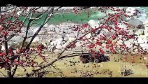 Mera Bhola Hai Bhandari - Hansraj Raghuwanshi - Suresh Verma - Offical Video - Paramjeet Pammi
