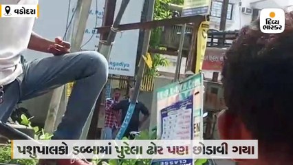 SRPનો બંદોબસ્ત હોવા છતાં રસ્તામાં રખડતી ગાયો પકડવા ગયેલી ઢોર પાર્ટી પર પશુપાલકોનો હુમલો