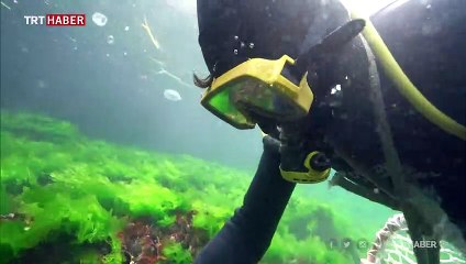 TRT Belgesel bu hafta "aile ve fedakarlık" temasıyla ekranlarda