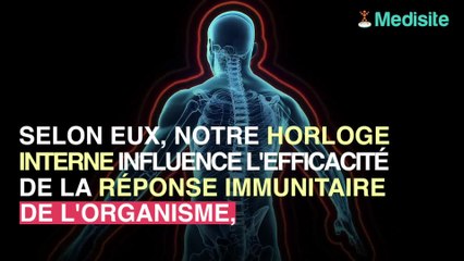 L'heure de vaccination peut moduler son efficacité