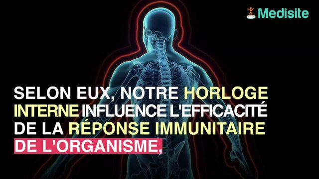 L'heure de vaccination peut moduler son efficacité