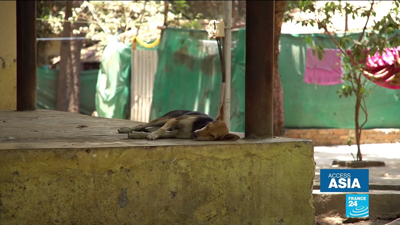 India: Leopard alert