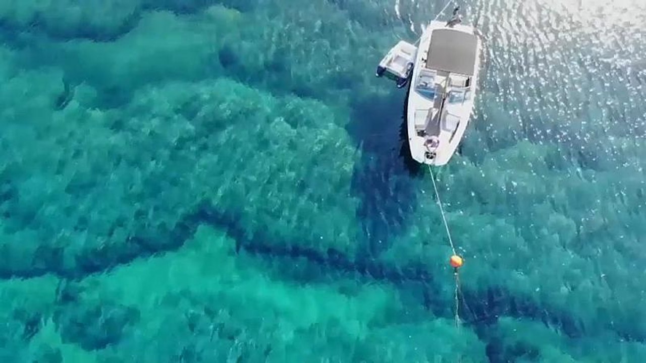 EU: "Blue Economy" befindet sich im Aufwind