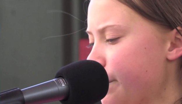 Greta Thunberg remporte un prix nobel alternatif