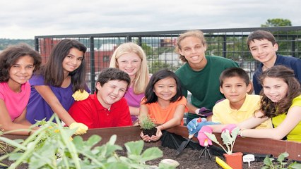 A School Turns A Barren Lawn Into A ‘Giving Garden’